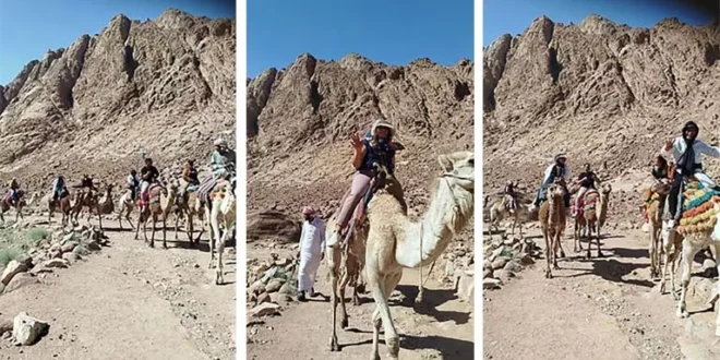 سحر الجبال وقدسية المكان.. سانت كاترين تواصل جذب السائحين (صور)