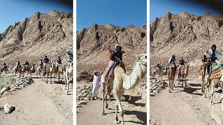 سحر الجبال وقدسية المكان.. سانت كاترين تواصل جذب السائحين (صور)