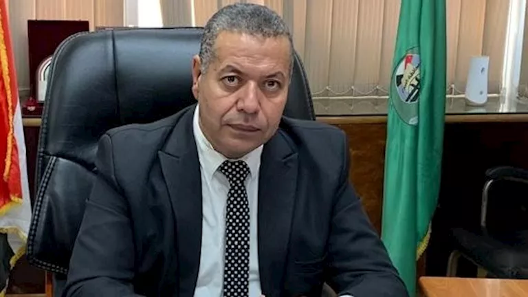 صوامع الفيوم تستقبل أكثر من 242 ألف طن قمح