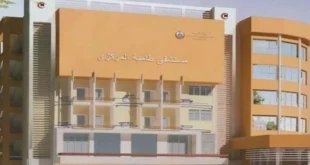 ضبط المتهم بالاعتداء على وكيل مستشفى طامية المركزي في الفيوم