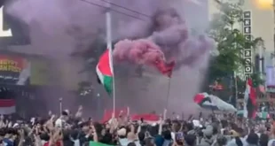 "فلسطين حرة".. كيف احتفلت جماهير مصر في كندا بالفوز على نيوزيلندا؟- في