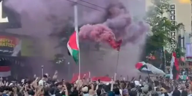 "فلسطين حرة".. كيف احتفلت جماهير مصر في كندا بالفوز على نيوزيلندا؟- في