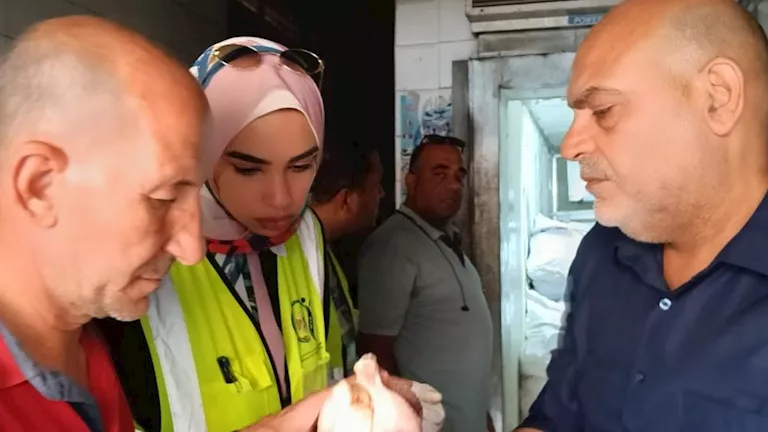 قبل وصولها للمواطنين.. ضبط ربع طن دواجن ولحوم فاسدة في بنها