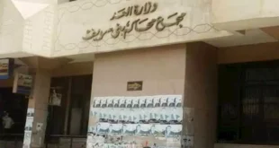 "كان بيفض مشاجرة".. قرار عاجل بشأن تاجر ونجليه في مقتل سائق ببني سويف