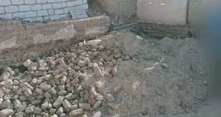 لغز "القدم المبتورة" بجوار مقابر الدقهلية.. كيف وصلت إلى هناك؟