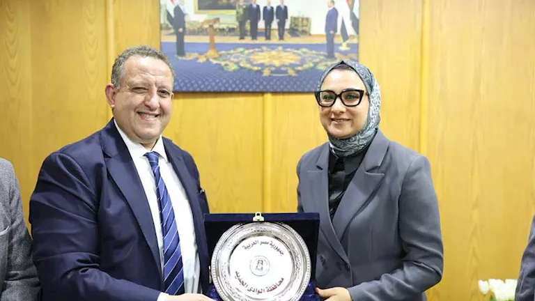 محافظ الوادي الجديد تبحث التعاون مع نقابة المهندسين لدعم المشروعات