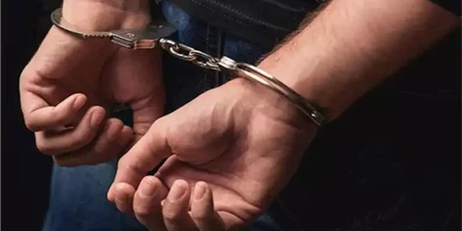 مريض نفسي.. الداخلية تضبط المتهم بالاعتداء على قطة في الشارع
