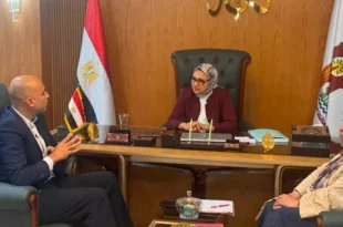 مشروعات جديدة للطاقة النظيفة والزراعة على طاولة الوادي الجديد