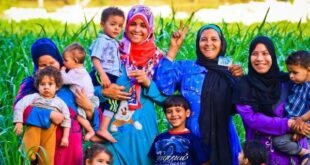 موعد صرف معاش تكافل وكرامة يونيو 2026