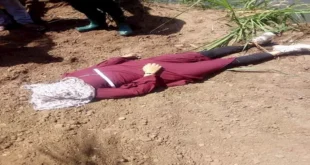 "همشي بأي طريقة"..حاولت الهرب من شقة صديقها فدفعت حياتها الثمن بأكتوبر