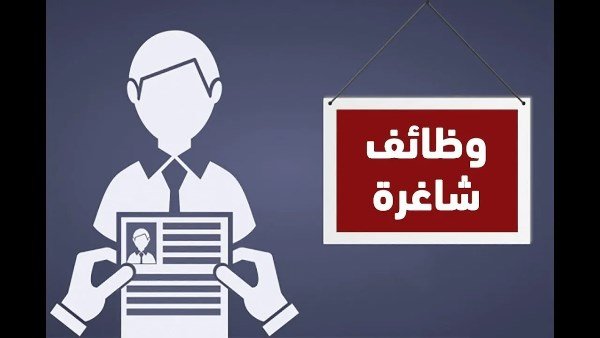 وظائف خالية لعدد من المؤهلات بشروط سهلة .. قدم الآن | ضي النهار وظائف خالية لعدد من المؤهلات بشروط سهلة .. قدم الآن