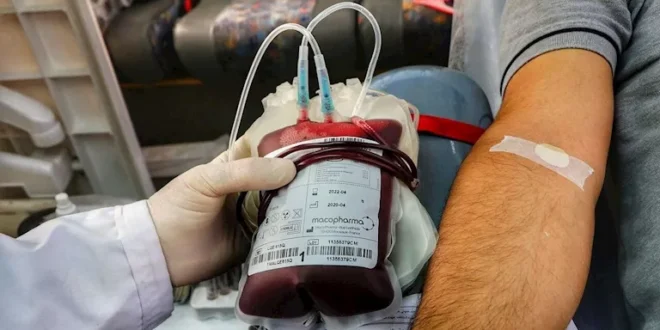 وكيل صحة بني سويف: مزايا للمتبرعين بالدم تشجيعًا على العمل الإنساني