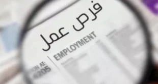 129 فرصة عمل جديدة لشباب الوادي الجديد