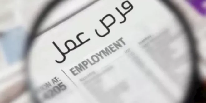 129 فرصة عمل جديدة لشباب الوادي الجديد