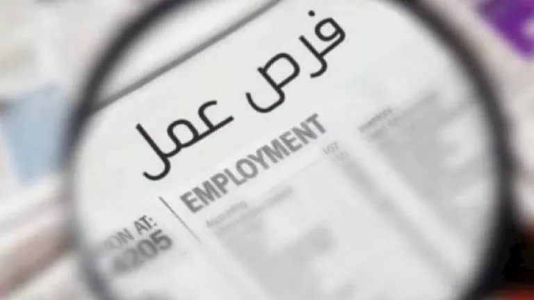 129 فرصة عمل جديدة لشباب الوادي الجديد