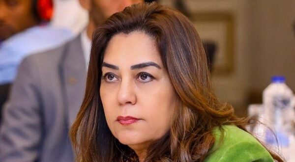 25% نسبة تنفيذ مشروعات التنمية الاقتصادية في 4 محافظات