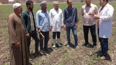 تكثيف حملات التوعية البيطرية لرفع وعي المربين وحماية الثروة الحيوانية | ضي النهار FB IMG 1784465510877
