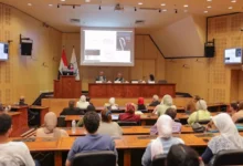 أحمد زايد: التاريخ المصري أسقط مزاعم "الأفروسنتريك" بالحقائق والجينات