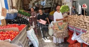 أسعار الخضار والفاكهة في أسوان اليوم الخميس 9 يوليو 2026