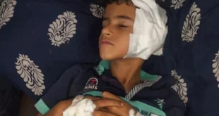 إخلاء سبيل المتهم الثاني في واقعة "رن الجرس" بطوخ بكفالة