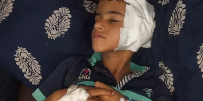 إخلاء سبيل المتهم الثاني في واقعة "رن الجرس" بطوخ بكفالة