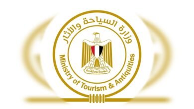 الأعلى للآثار يُدرس العظام الآدمية والحيوانية بالمواقع الأثرية | ضي النهار الأعلى للآثار يُدرس العظام الآدمية والحيوانية بالمواقع الأثرية