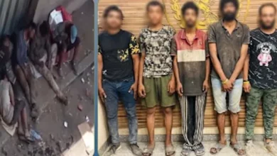 الداخلية: أصحاب فيديو القليوبية تحت تأثير استنشاق مادة لاصقة للأحذية