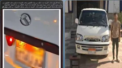 الداخلية تضبط سائق ميكروباص بعد مشادة مع سيدة بسبب تغيير خط السير | ضي النهار الداخلية تضبط سائق ميكروباص بعد مشادة مع سيدة بسبب تغيير خط السير
