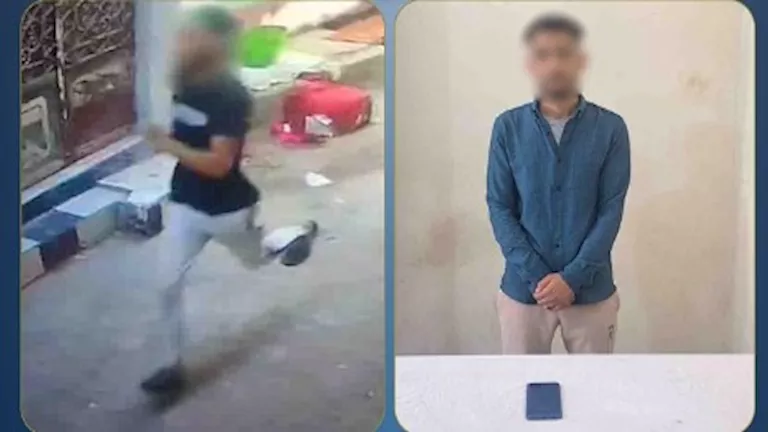 الداخلية تكشف ملابسات فيديو لتعرض سيدة لسرقة هاتفها أثناء سيرها