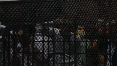 الصدفة تنقذ حضانة قسم بولاق من "عصابة التزوير".. وأحكام رادعة للمتهمين