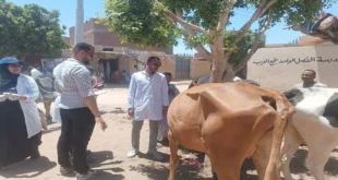 الكشف على 633 حيواناً وطائراً في قافلة بيطرية لجامعة أسوان بمركز دراو