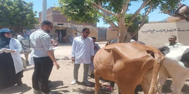 الكشف على 633 حيواناً وطائراً في قافلة بيطرية لجامعة أسوان بمركز دراو