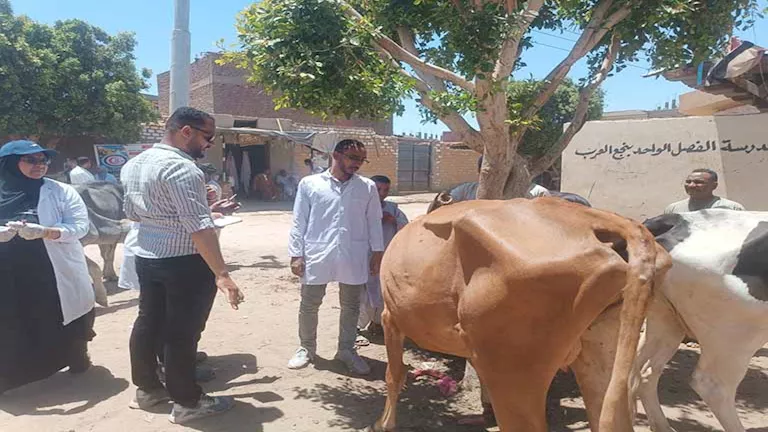 الكشف على 633 حيواناً وطائراً في قافلة بيطرية لجامعة أسوان بمركز دراو