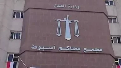 المشدد 7 سنوات لـ "نجار وعامل" بتهمة الاتجار بالمخدرات في أسيوط