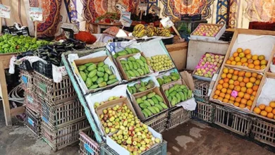 بأسعار مخفضة.. طرح الخضروات والفاكهة في منافذ الخارجة (صور)