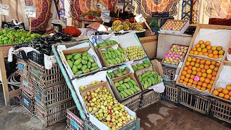 بأسعار مخفضة.. طرح الخضروات والفاكهة في منافذ الخارجة (صور)