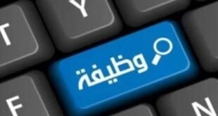 بتأمين صحي واجتماعي.. وزارة العمل تطرح مئات الوظائف في 12 محافظة (رابط التقديم)