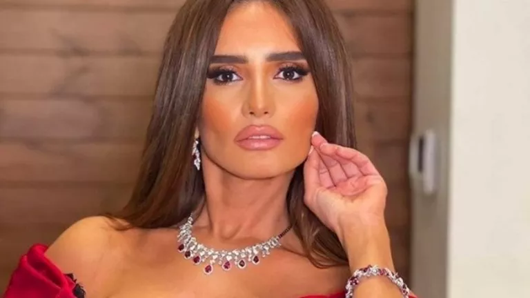 براءة رجل أعمال من تهمة مطاردة طفلي "الفنانة زينة" بكلب شرس