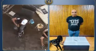 بعد تداول الفيديو.. القبض على متهم اعتدى على كلب بسلاح أبيض بالإسكندري