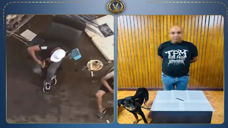 بعد تداول الفيديو.. القبض على متهم اعتدى على كلب بسلاح أبيض بالإسكندري