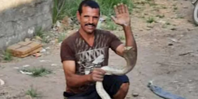 بـ"فردة شبشب".. شاب بالفيوم يواجه كوبرا سامة وينقذ قريته (صور)