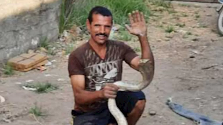 بـ"فردة شبشب".. شاب بالفيوم يواجه كوبرا سامة وينقذ قريته (صور)