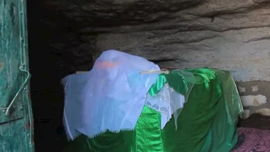 "بقعة دم لا تجف وشجرة مبروكة".. أسرار مقام "الست سلمى" الغامض بالمنيا