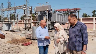 تحرك برلماني ينهي أزمة الكهرباء بالقنايات والغشام في الشرقية (صور)