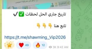 تداول امتحان التاريخ ثانوية عامة 2026 بتليجرام بعد دقائق من توزيعه باللجان