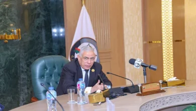 تفاصيل لقاء النائب العام بوفد اللجنة الفرعية لحقوق الإنسان بالبرلمان ا