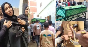 ثعابين الكوبرا في الشرقية.. تفاصيل وفاة الضحايا الثلاثة