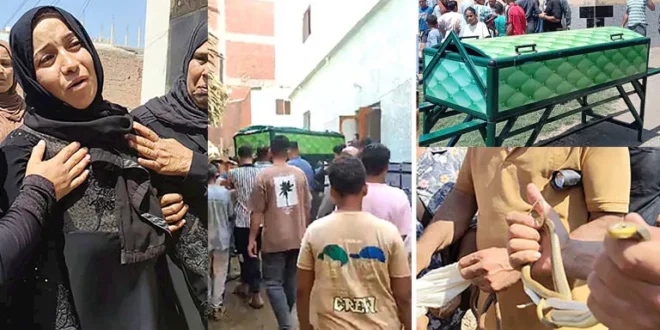 ثعابين الكوبرا في الشرقية.. تفاصيل وفاة الضحايا الثلاثة