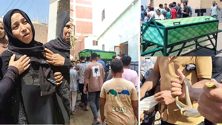 ثعابين الكوبرا في الشرقية.. تفاصيل وفاة الضحايا الثلاثة