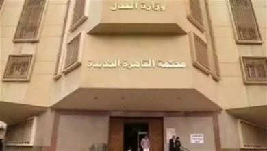 حيثيات حكم سجن متهمة 7 سنوات في خطف رضيعة من مستشفى الحسين